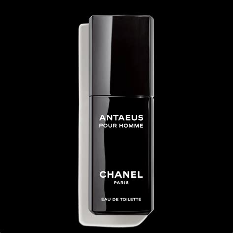 chanel antaeus 100 ml eau de parfum|chanel antaeus 1981.